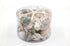 Premium Coral and Seashell Pack - Green Jade